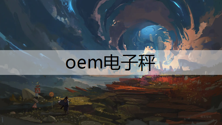 oem电子秤